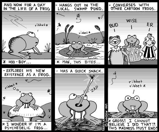 © Rudi Gunther 1999